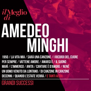 AMEDEO MINGHI