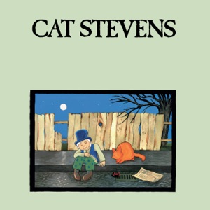 CAT STEVENS