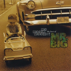 MR. BIG