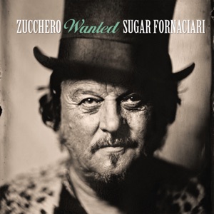 ZUCCHERO SUGAR FORNACIARI